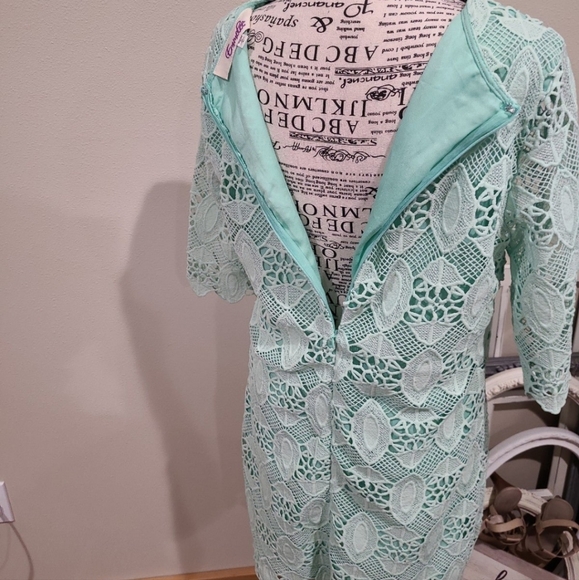 Emmelee Mint Green Lace Sheath Dress Size Large - Picture 2 of 9